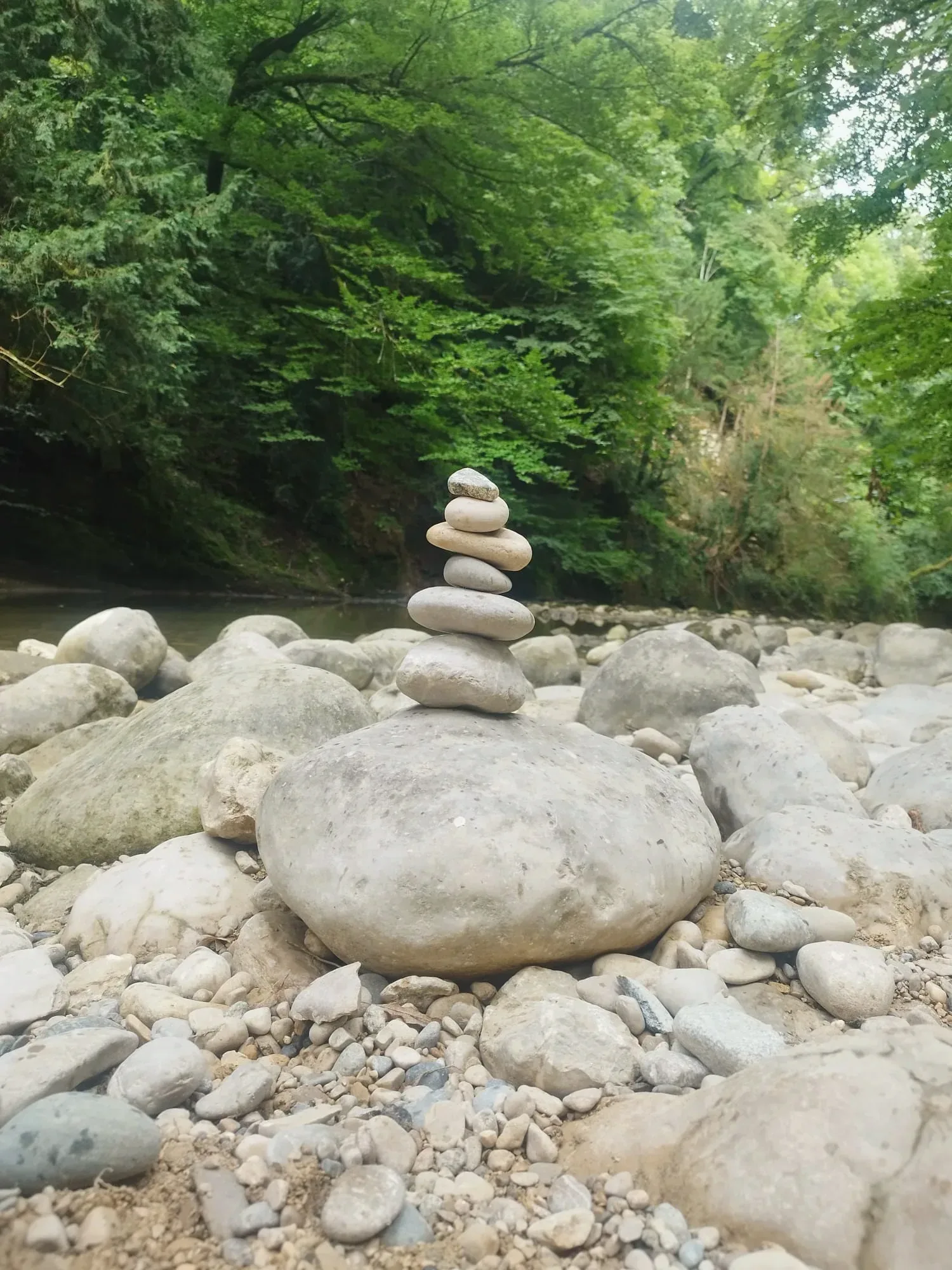 Emilie en pleine nature — connexion vivante